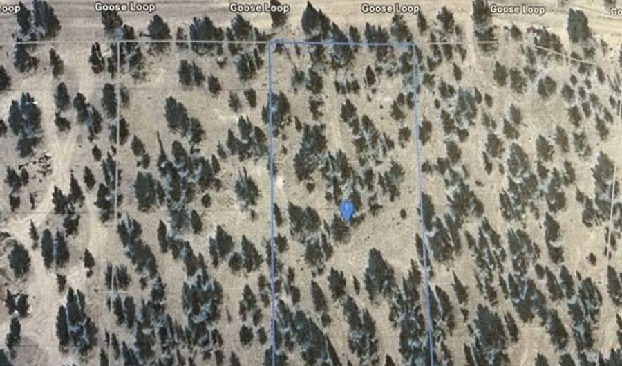 Goose Lp, Alturas, CA 96101 - 0 Beds, 0 Bath