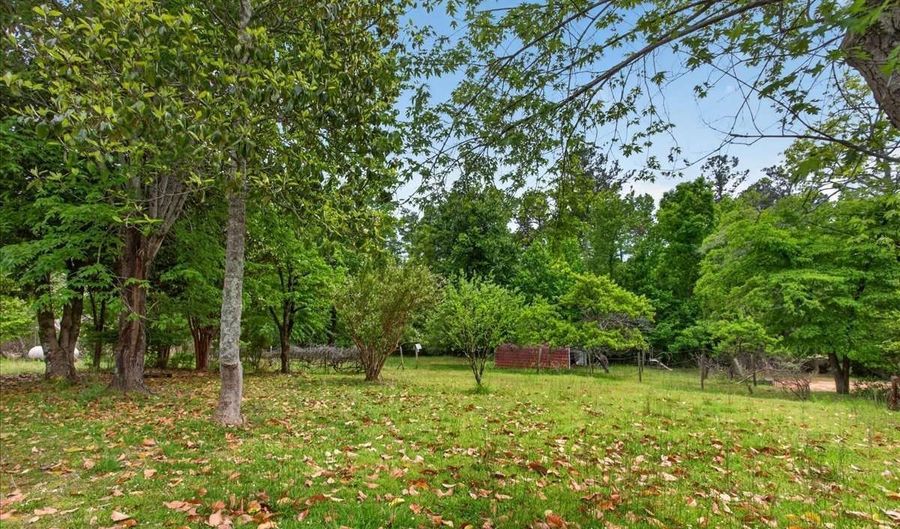 205 Upper Bethany Trl, Ball Ground, GA 30107 - 3 Beds, 2 Bath