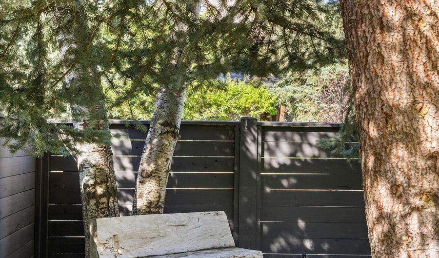 980 Cemetery Ln, Aspen, CO 81611 - 5 Beds, 4 Bath