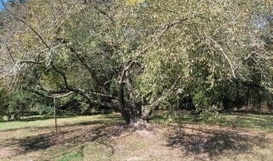 Tbd Courtableau Highway, Arnaudville, LA 70512 - 0 Beds, 0 Bath