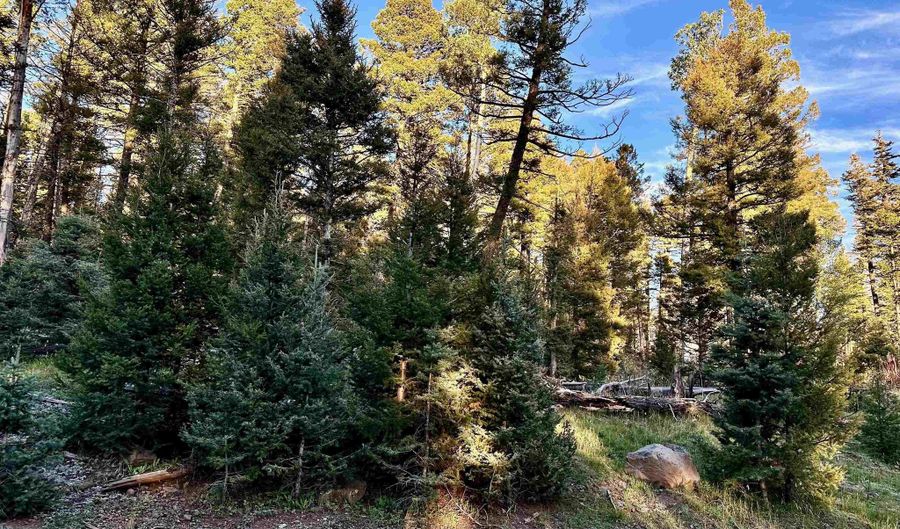 Lot 1332 Skyview Way, Angel Fire, NM 87710 - 0 Beds, 0 Bath