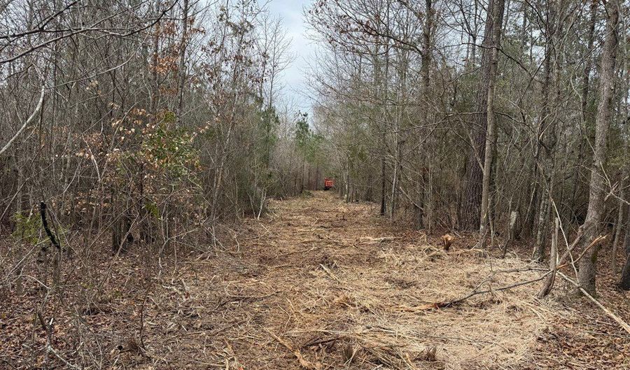 1365 Mickle Smith Trl, Bogue Chitto, MS 39629 - 0 Beds, 0 Bath