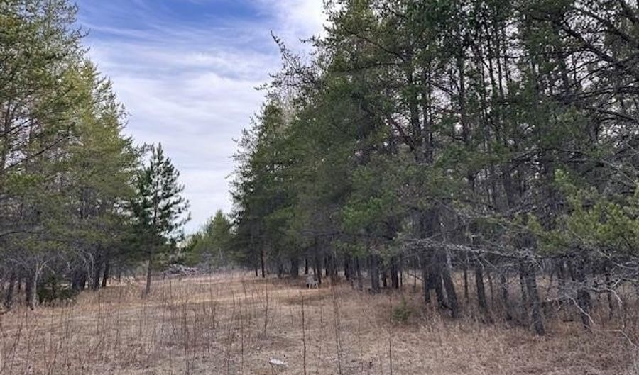 TBD Hwy 21, Babbitt, MN 55706 - 0 Beds, 0 Bath
