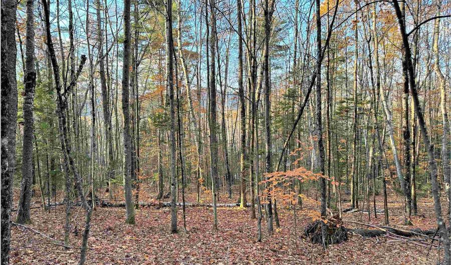 4-1 7 Hodgeman Hill Rd, Campton, NH 03223 - 0 Beds, 0 Bath