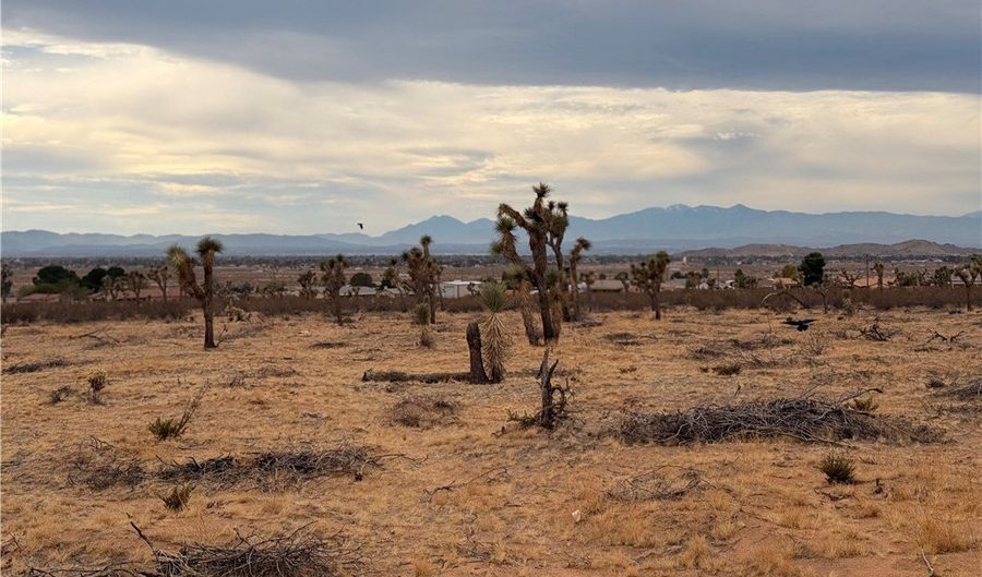 16252 Olema Rd, Apple Valley, CA 92307 - 0 Beds, 0 Bath