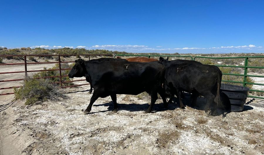 Alamosa County Parcel # 5139301, Alamosa, CO 81101 - 0 Beds, 0 Bath