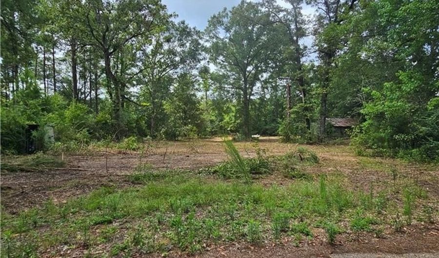 Lot B - Vining Road, Amite, LA 70422 - 0 Beds, 0 Bath