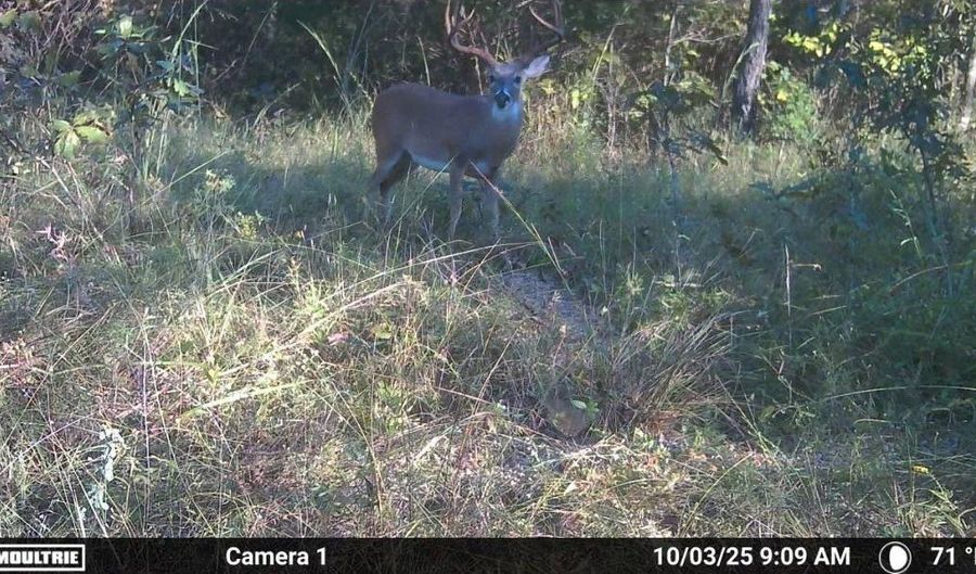 S80 Helt Rd, Antlers, OK 74525 - 0 Beds, 0 Bath