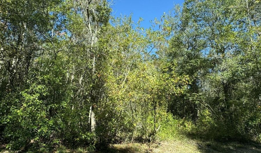 Indian Street, Bay St. Louis, MS 39520 - 0 Beds, 0 Bath