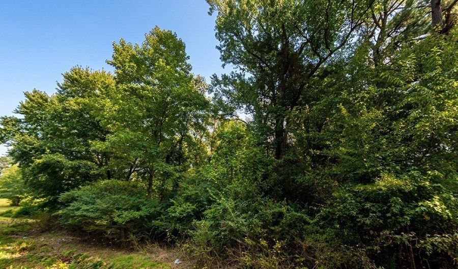 Country Road 1564, Baileyton, AL 35019 - 0 Beds, 0 Bath