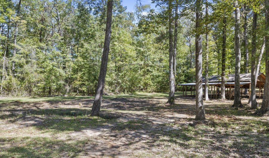 313 Le Bourgeois Ln, Brandon, MS 39047 - 5 Beds, 5 Bath