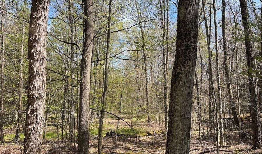 106 Road, Alma, NY 14708 - 0 Beds, 0 Bath