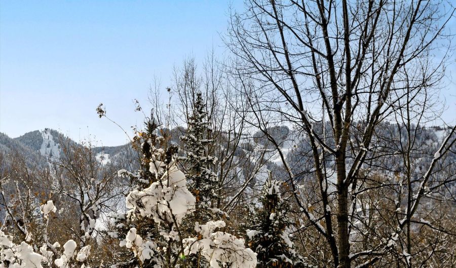 155 Lone Pine - River Blf #C2, Aspen, CO 81611 - 3 Beds, 3 Bath