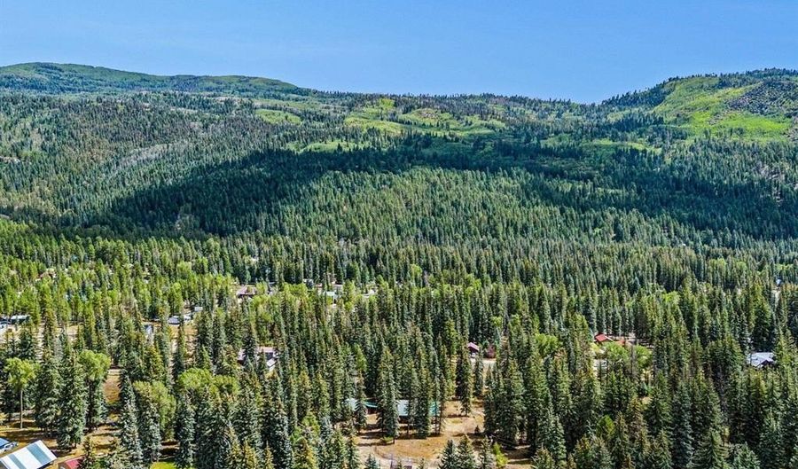 11 Ponderosa Homes Dr, Bayfield, CO 81122 - 2 Beds, 2 Bath