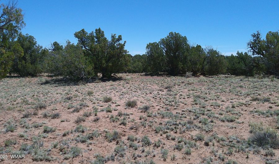 Tbd Rio Ranch, Concho, AZ 85924 - 0 Beds, 0 Bath