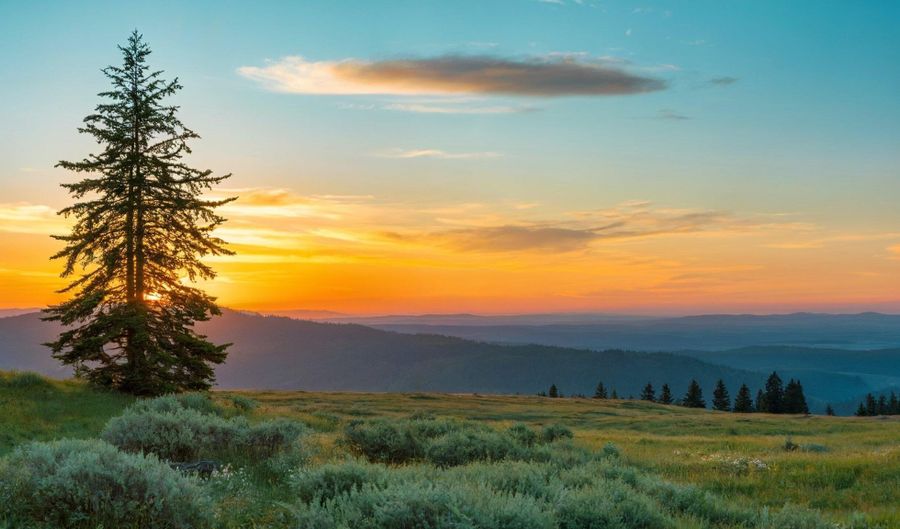 Fishhole Creek Road, Bly, OR 97622 - 0 Beds, 0 Bath