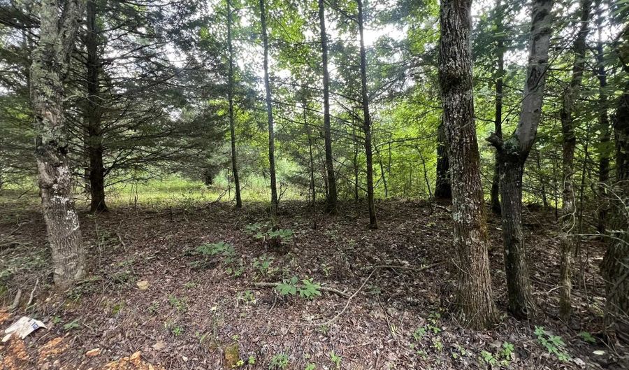 0 Co Rd 521, Anderson, AL 35610 - 0 Beds, 0 Bath