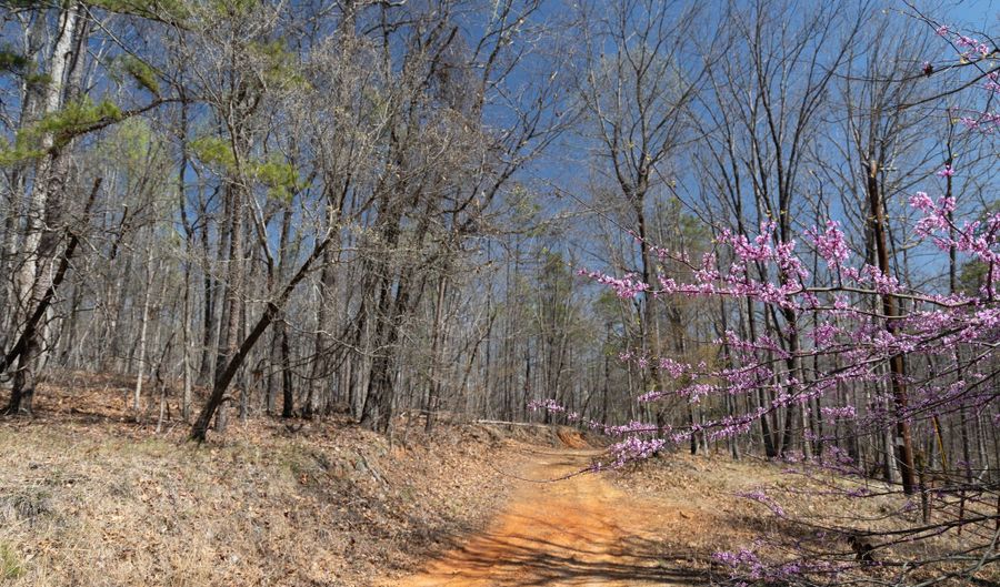 Soapstone Road, Baldwin, GA 30511 - 0 Beds, 0 Bath