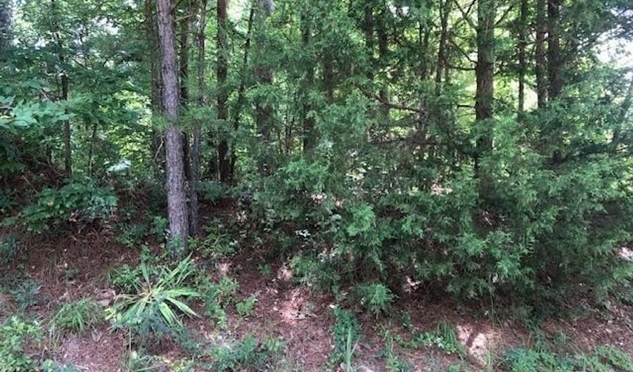 LOT 8 COUNTY ROAD 287, Arley, AL 35541 - 0 Beds, 0 Bath