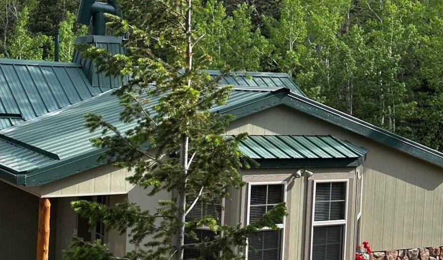 131 County Road 90, Allenspark, CO 80510 - 1 Beds, 1 Bath