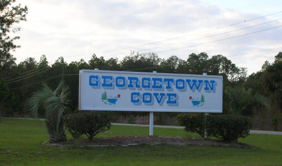000 GEORGETOWN DENVER Rd, Georgetown, FL 32139 - 0 Beds, 0 Bath