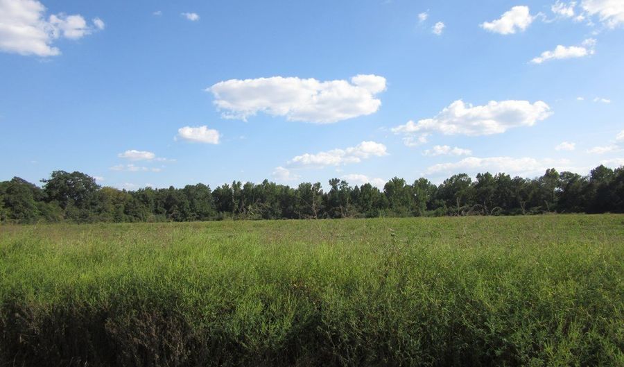 Baxter Rd, Ashford, AL 36312 - 0 Beds, 0 Bath