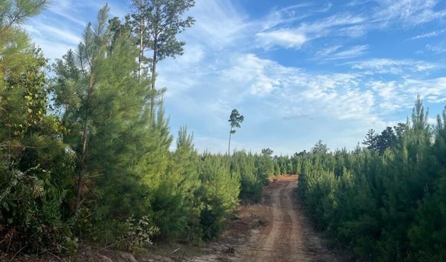 Ms Hwy 540, Braxton, MS 39044 - 0 Beds, 0 Bath