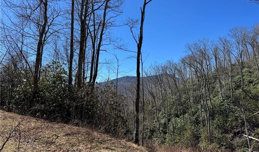 Lot # 70 Tall Tree Lane, Banner Elk, NC 28604 - 0 Beds, 0 Bath