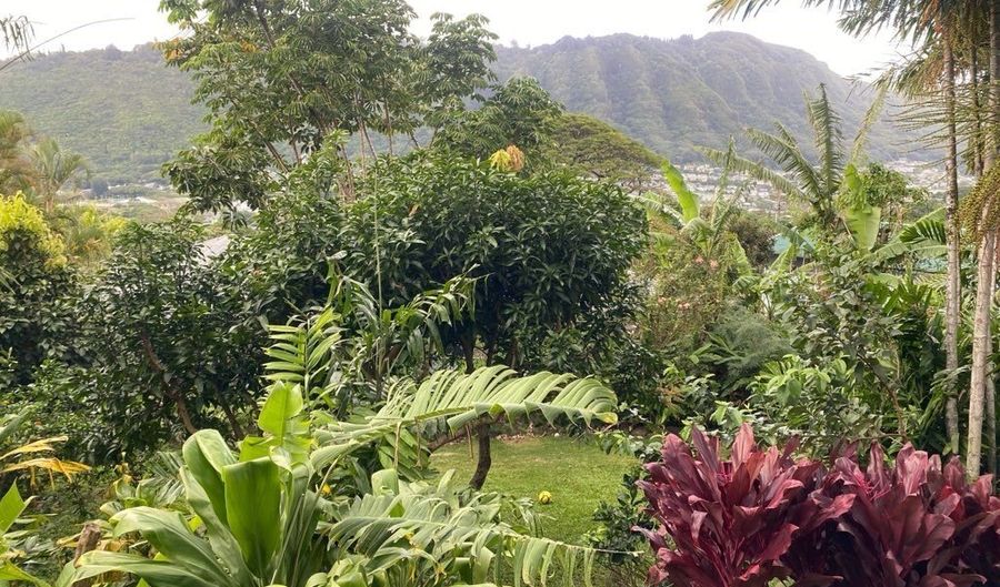 3232 Paty Dr Studio, Honolulu, HI 96822 - 0 Beds, 1 Bath