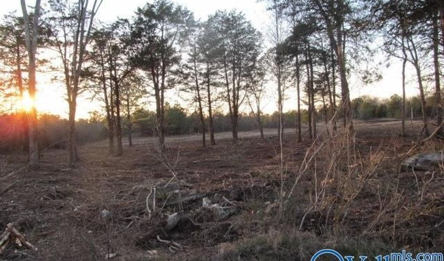 13 Hogs Ln, Albertville, AL 35951 - 0 Beds, 0 Bath