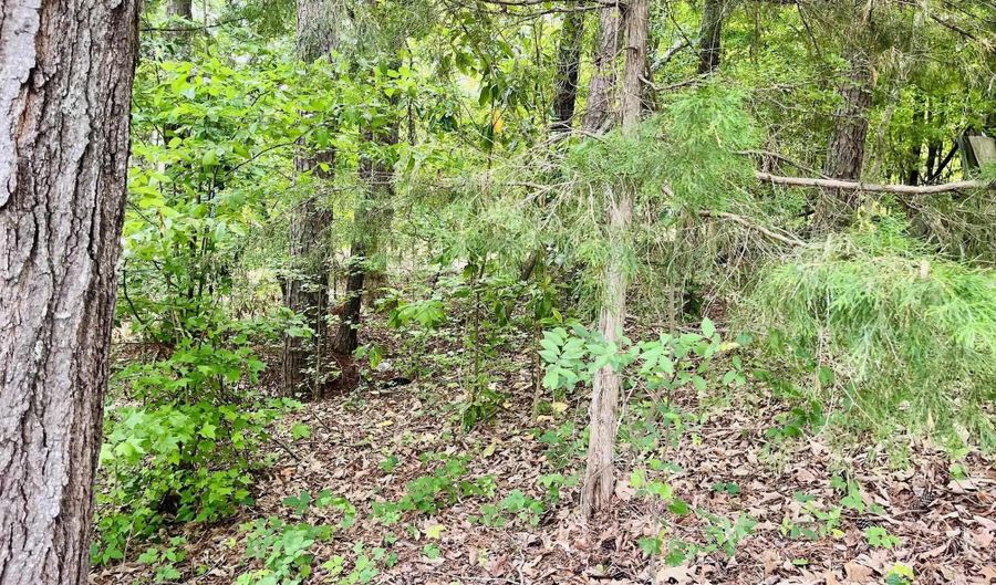 Aiken St, Batesburg Leesville, SC 29070 - 0 Beds, 0 Bath