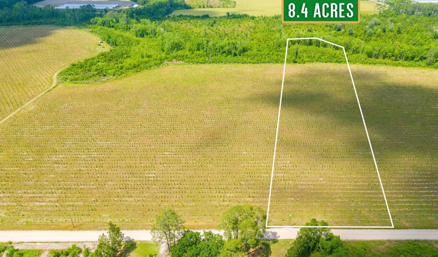 TRACT 11 Sellers Road NW, Baxley, GA 31513 - 0 Beds, 0 Bath