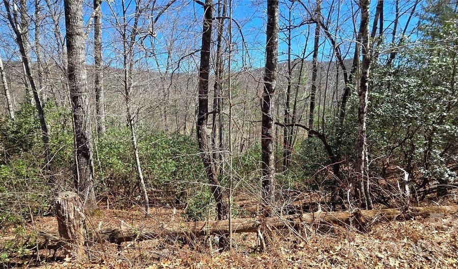 90 Kimiko Ln S 30&31, Balsam Grove, NC 28708 - 0 Beds, 0 Bath