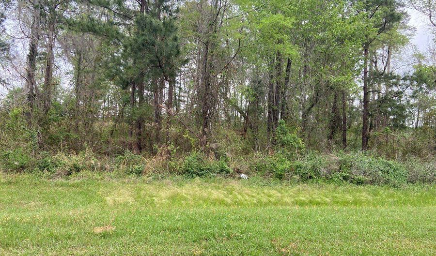 N/A Blue Springs, Bainbridge, GA 39819 - 0 Beds, 0 Bath