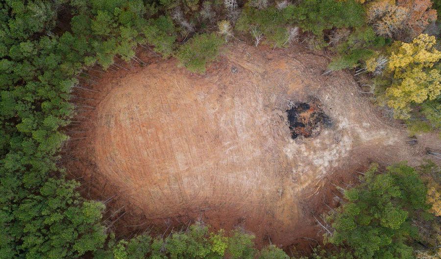 00002 Trickhambridge Rd, Brandon, MS 39042 - 0 Beds, 0 Bath