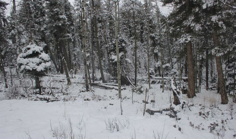 El Camino Real lot 684, Angel Fire, NM 87710 - 0 Beds, 0 Bath