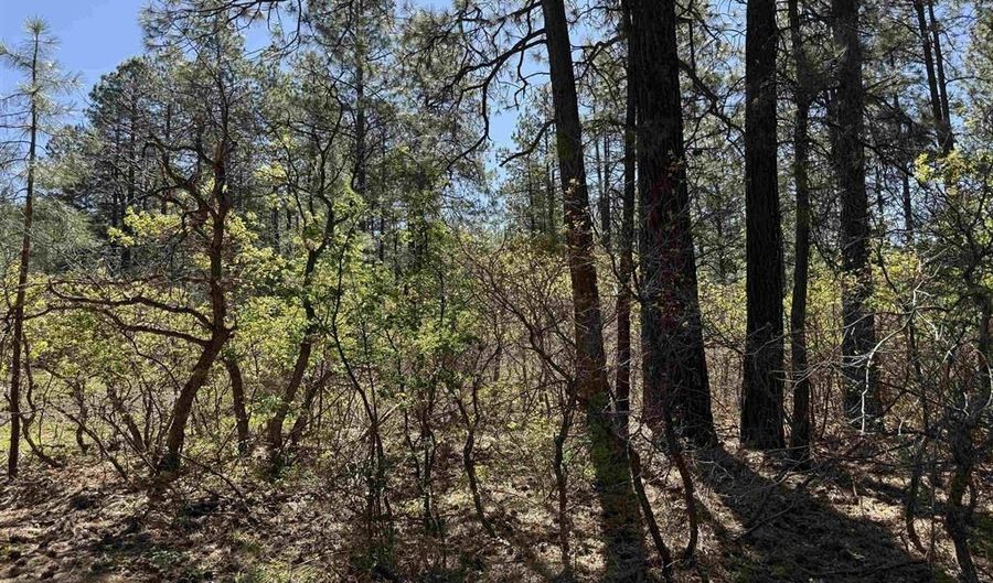 156 Lake View Cir, Bayfield, CO 81122 - 0 Beds, 0 Bath