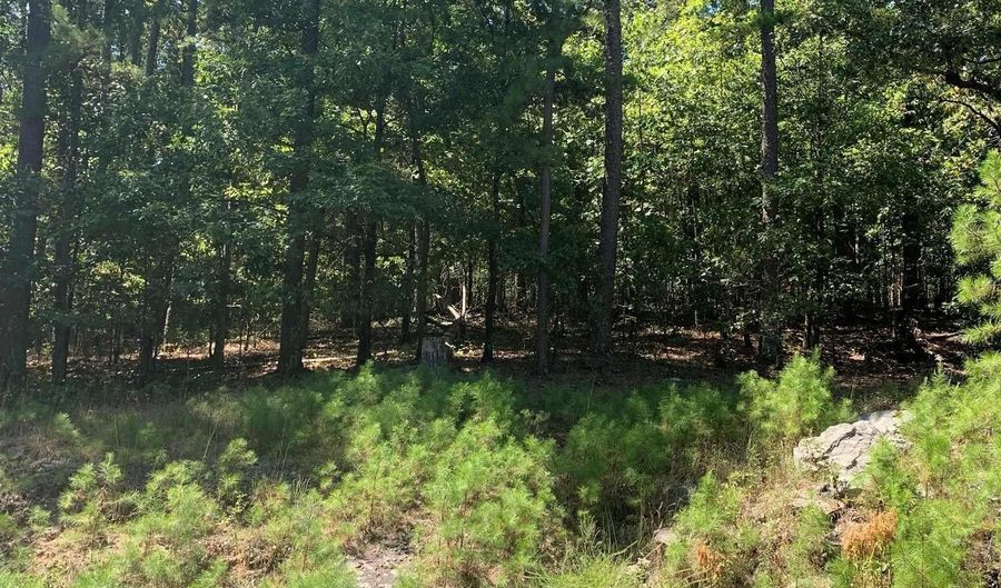 39 Viajero Dr, Hot Springs Village, AR 71909 - 0 Beds, 0 Bath