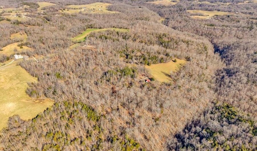 James Reeder Ln, Allons, TN 38541 - 0 Beds, 0 Bath