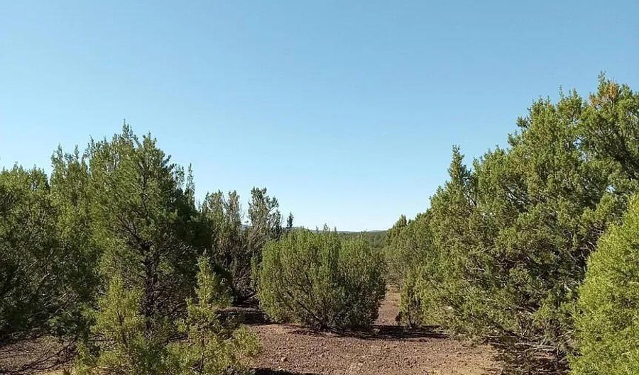 9 County Road 3036, Concho, AZ 85924 - 0 Beds, 0 Bath