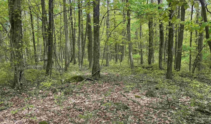 Lot 30 Oak Drive, Albright, WV 26519 - 0 Beds, 0 Bath
