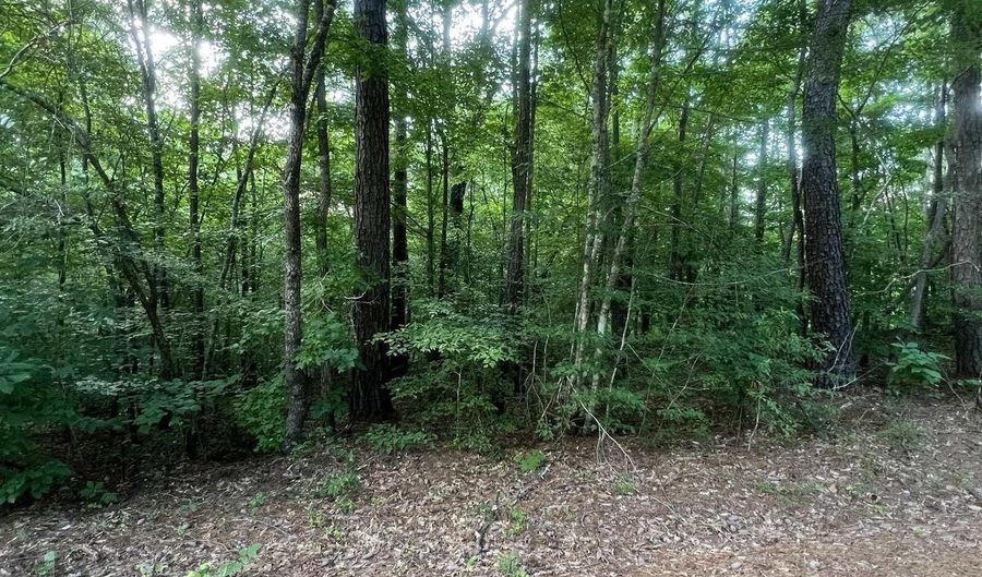 0 ANDREW JACKSON Rd 19, Alexander City, AL 35010 - 0 Beds, 0 Bath