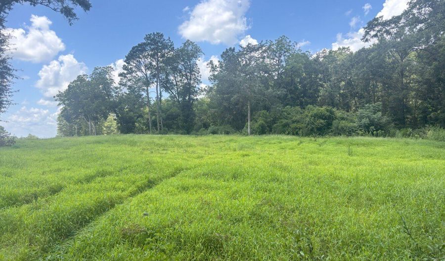 0 CR-215, Ariton, AL 36311 - 0 Beds, 0 Bath
