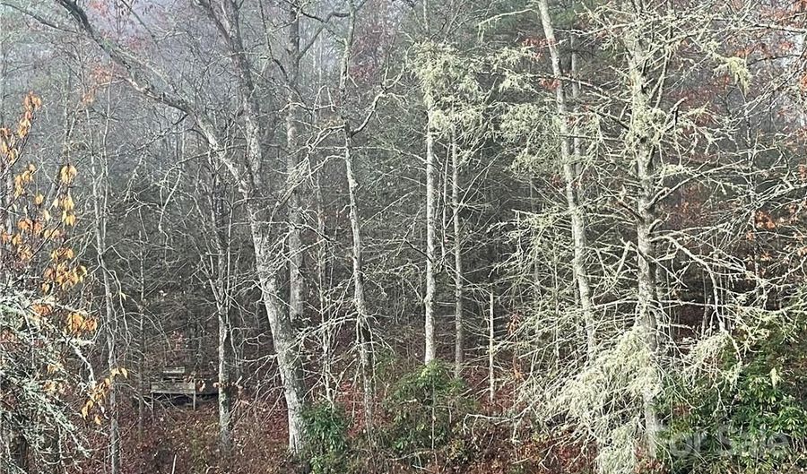 Kimiko Lane lot 43, Balsam Grove, NC 28708 - 0 Beds, 0 Bath
