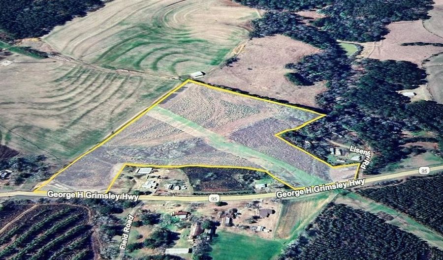 20 Ac State Hwy 95 Columbia Rd, Abbeville, AL 36310 - 0 Beds, 0 Bath
