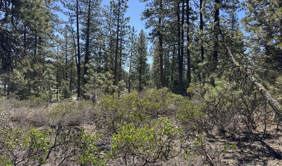Horned Owl Way 385461, Bonanza, OR 97623 - 0 Beds, 0 Bath