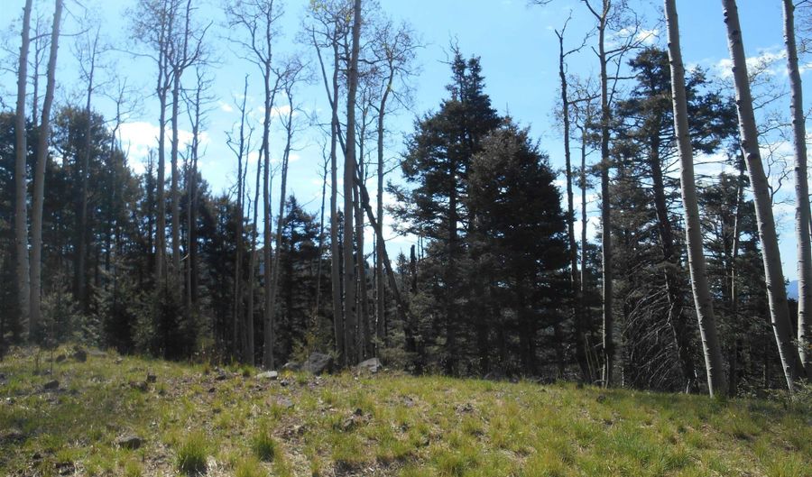 Lot 1306 A Pleasant Valley Overlook, Angel Fire, NM 87710 - 0 Beds, 0 Bath