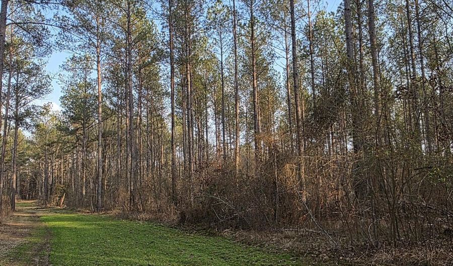 U.S. Highway 51, Bogue Chitto, MS 39629 - 0 Beds, 0 Bath