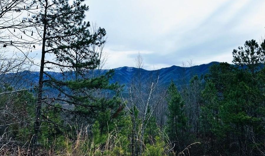 1441 Valley View Heights Ln Lot 3, Andrews, NC 28901 - 0 Beds, 0 Bath