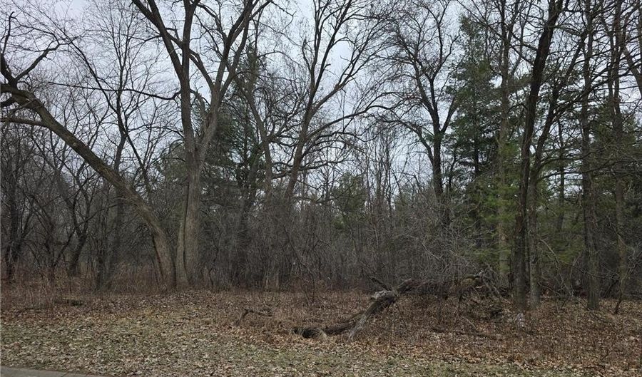 L2 B1 131st Street NW, Baldwin Twp., MN 55398 - 0 Beds, 0 Bath